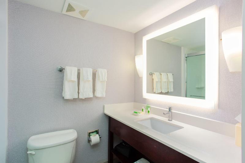 Стандартный Номер Кровать Кинг, Holiday Inn Hotel & Suites Tallahassee Conference Center North, An Ihg
