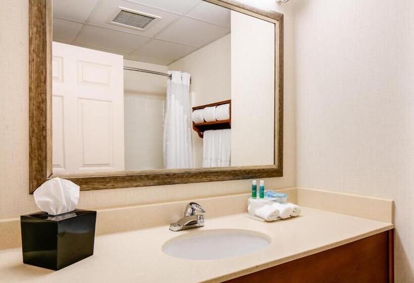 Стандартный Номер Кровать Кинг, Holiday Inn Express Hotel & Suites Coralville, An Ihg