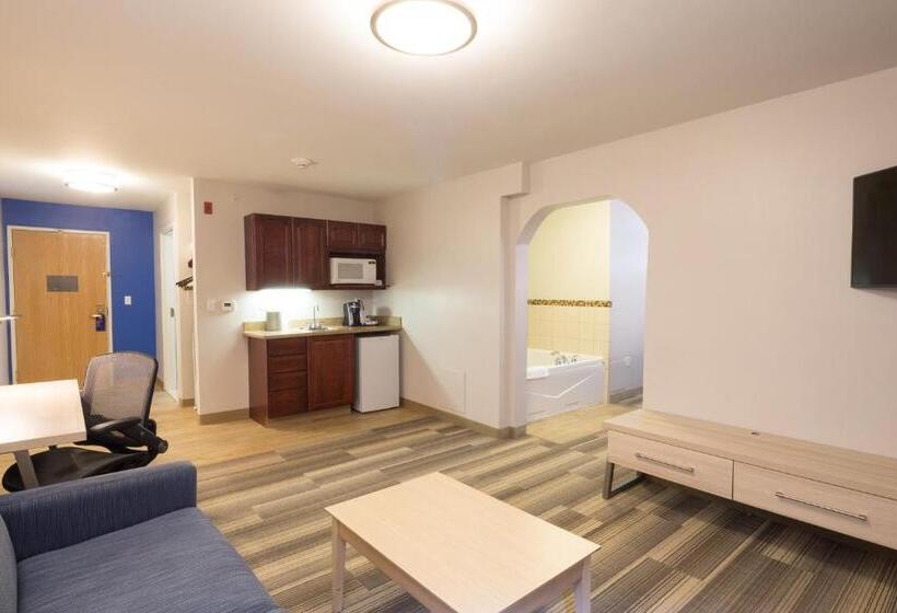 Люкс Кровать Кинг, Holiday Inn Express Hotel & Suites Grand Blanc, An Ihg
