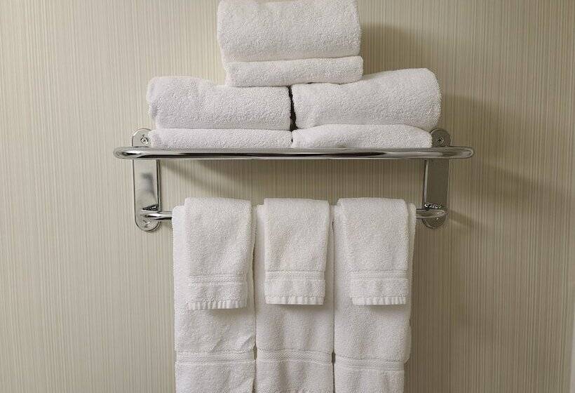 스탠다드 룸, Holiday Inn Express Hotel & Suites St. Paul, An Ihg