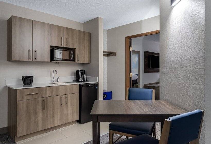 스위트, Holiday Inn Express Hotel & Suites St. Paul, An Ihg