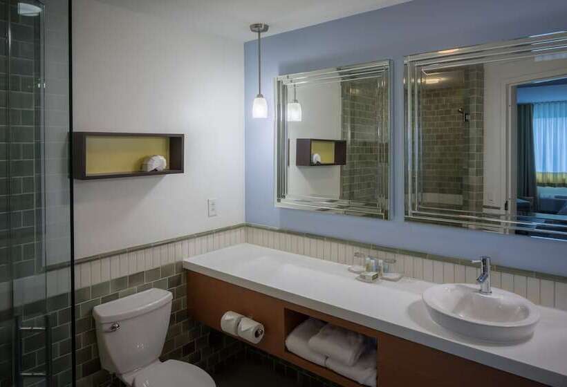 اتاق استاندارد, Indigo Asheville Downtown, An Ihg