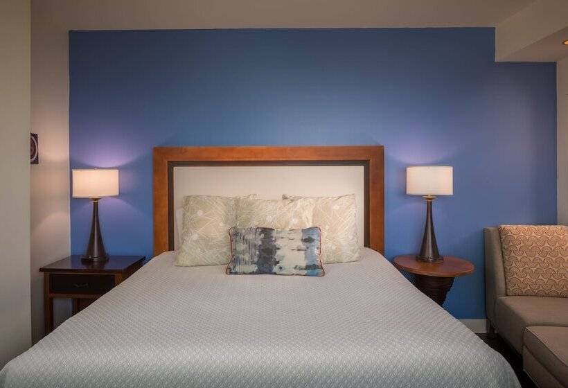 اتاق استاندارد, Indigo Asheville Downtown, An Ihg