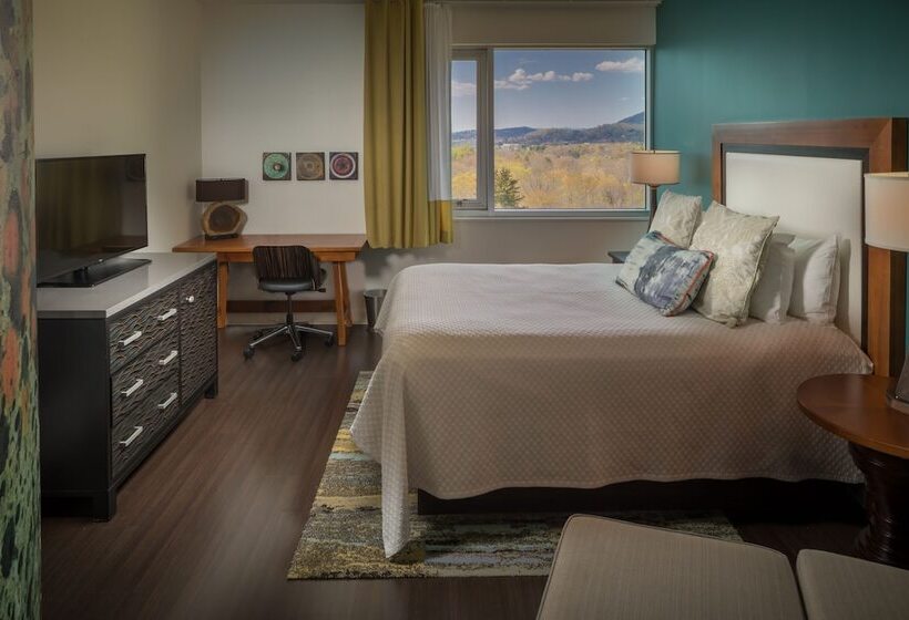 اتاق استاندارد, Indigo Asheville Downtown, An Ihg