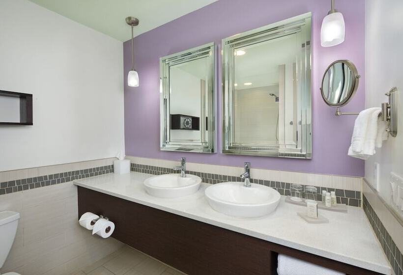 سوئیت پنت هاوس, Indigo Asheville Downtown, An Ihg