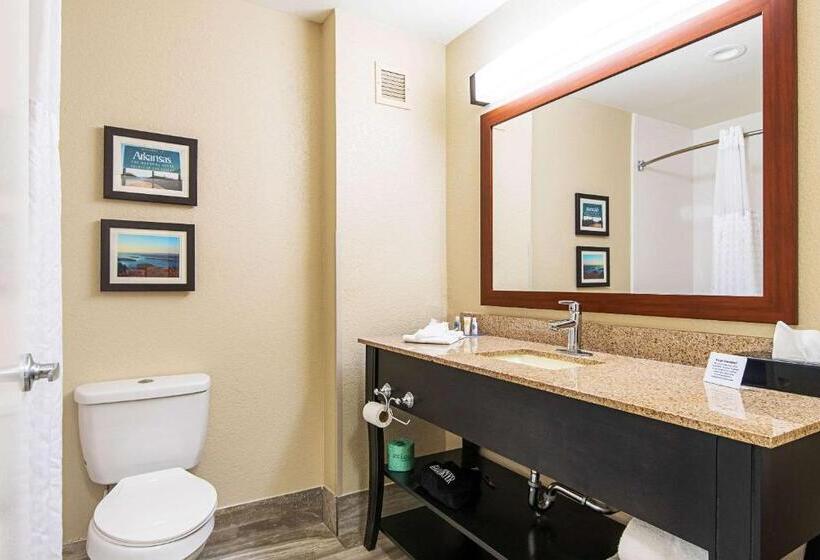 스위트 킹사이즈 침대, Comfort Inn & Suites Pine Bluff