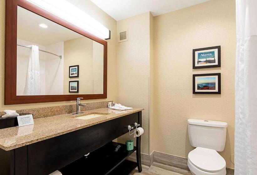 Номер Стандарт, Comfort Inn & Suites Pine Bluff