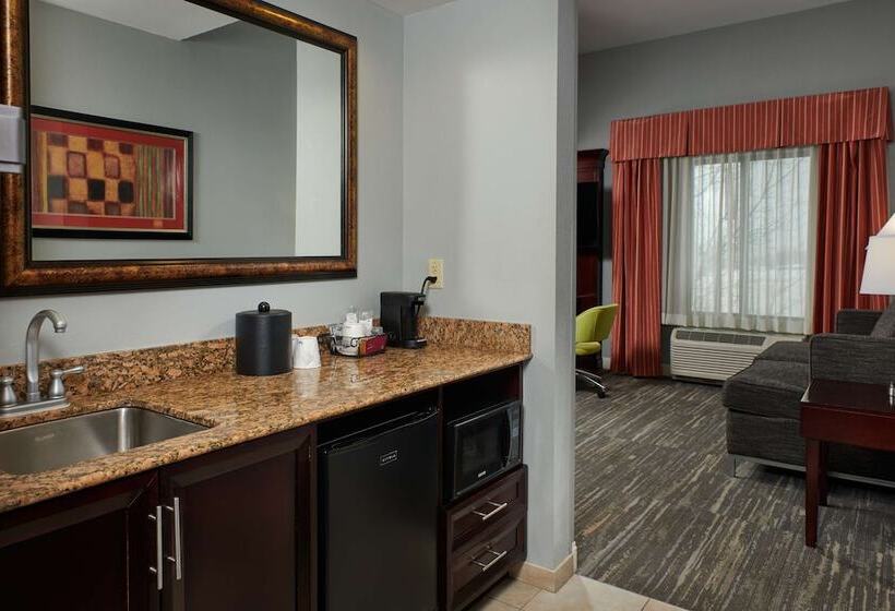 Студия Стандарт Двуспальная Кровать, Hampton Inn & Suites Denver/highlands Ranch