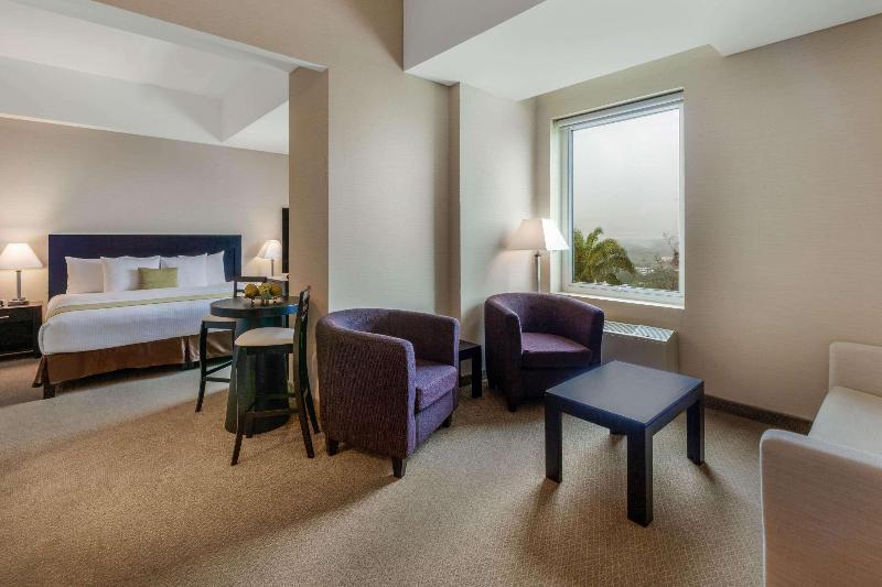 带大床的套房, La Quinta By Wyndham Poza Rica