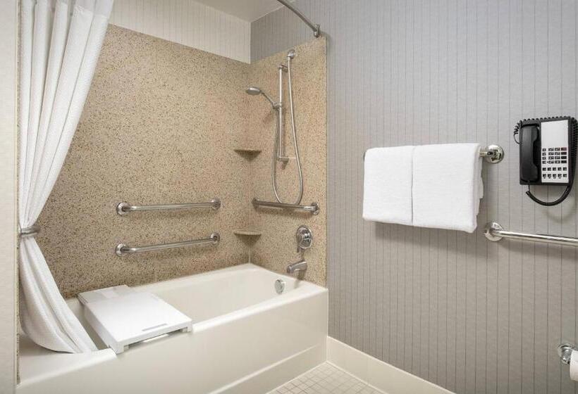 Büyük Çift Kişilik Yataklı Standart Oda, Courtyard Tacoma Downtown