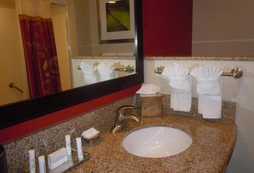 اتاق استاندارد با تخت بزرگ برای معلولان, Courtyard By Marriott Vicksburg
