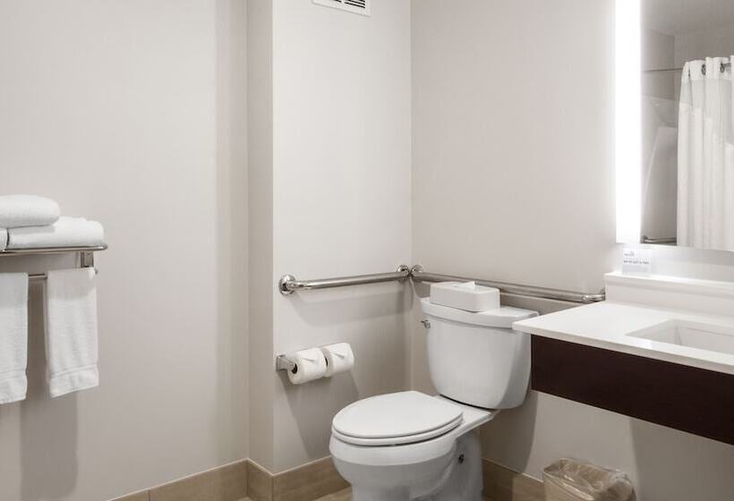 스위트, Holiday Inn Express Hotel & Suites Newton Sparta, An Ihg