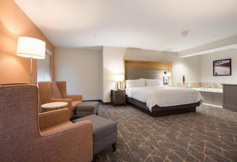 Люкс Адаптированный для Инвалидов, Holiday Inn Jackson Nw   Airport Road, An Ihg