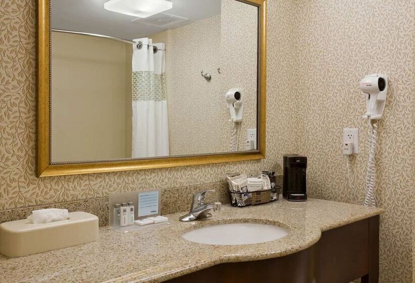 Номер Стандарт, Hampton Inn By Hilton Dunn