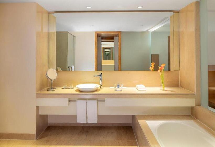 Номер бизнес-класса, Radisson Blu Plaza Hotel Hyderabad Banjara Hills