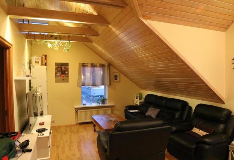 آپارتمان 2 خوابه, Guesthouse Hvammur