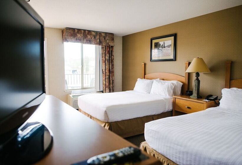 Номер Стандарт, Holiday Inn Express & Suites Custer Mt Rushmore