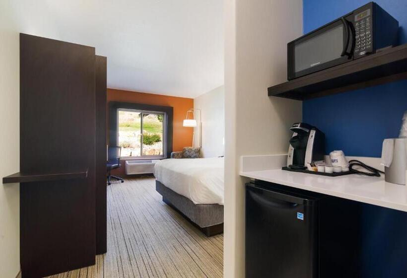 Стандартный Номер Кровать Кинг, Holiday Inn Express & Suites Custer Mt Rushmore