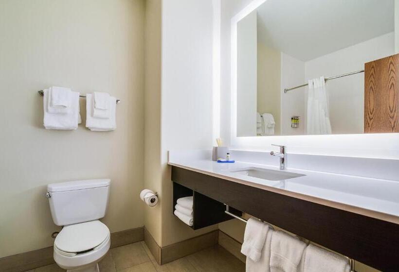 Люкс Executive Кровать Кинг, Holiday Inn Express & Suites Custer Mt Rushmore