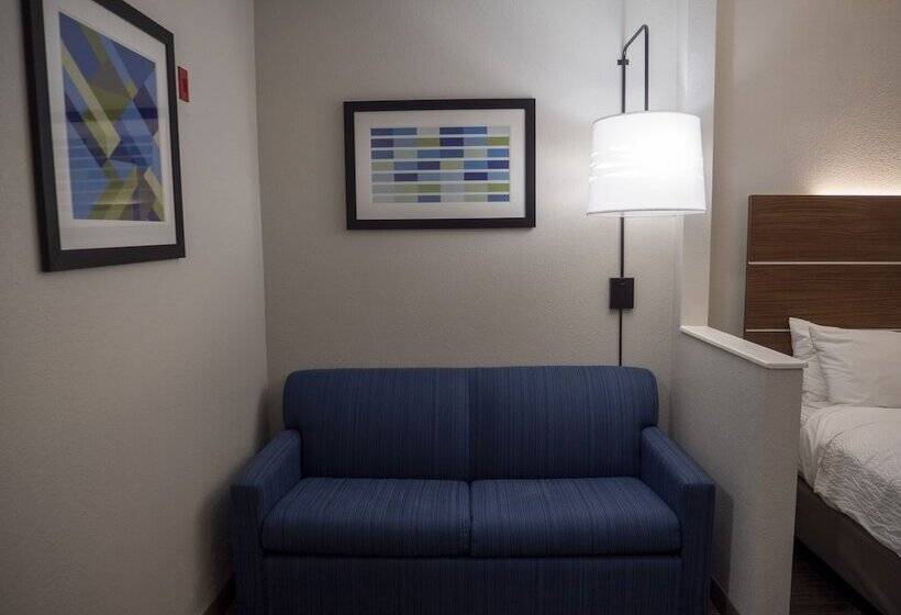 Номер Стандарт, Holiday Inn Express & Suites Greenville Airport, An Ihg