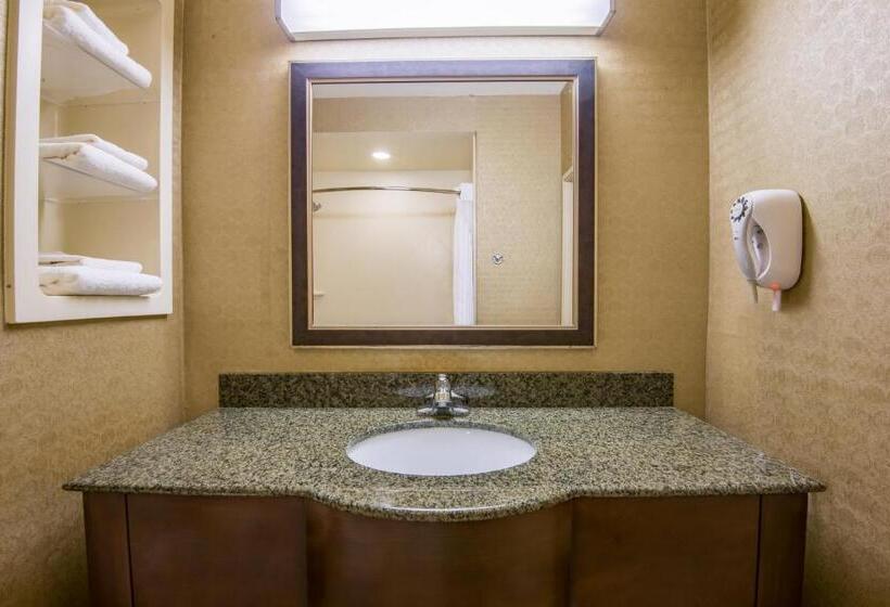 스탠다드 룸, Holiday Inn Express & Suites Clovis, An Ihg