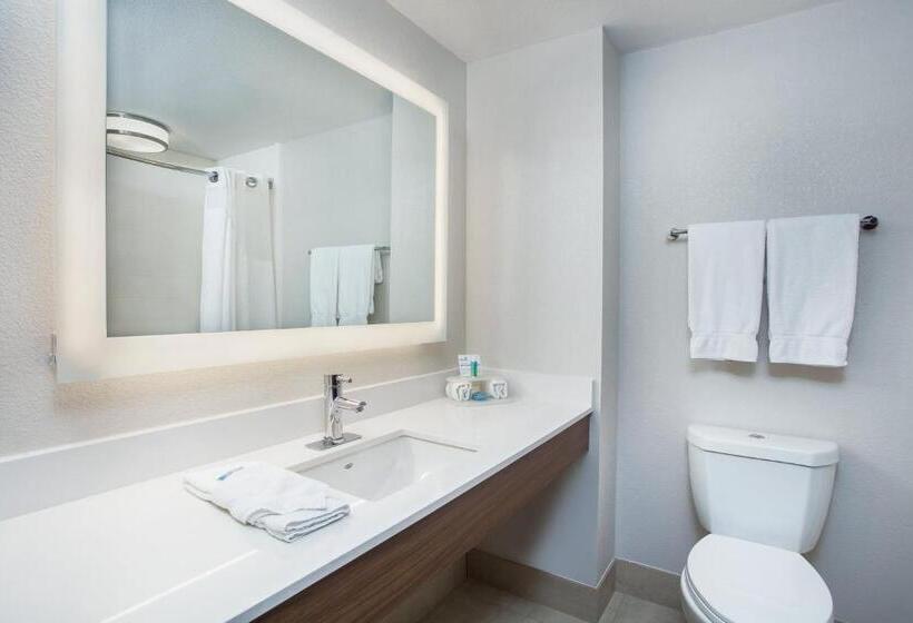 带大床的标准间, Holiday Inn Express & Suites Lebanon Nashville Area, An Ihg