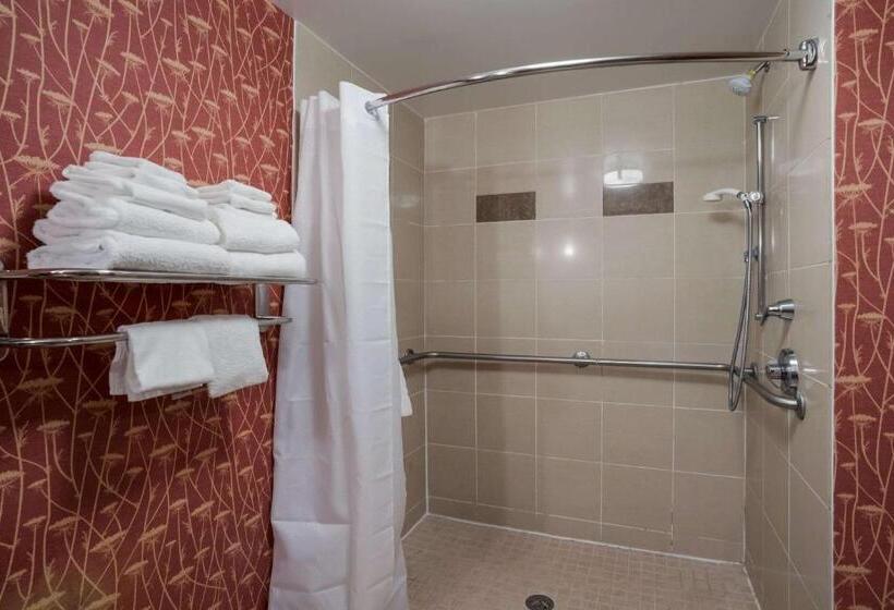 Люкс Адаптированный для Инвалидов, Comfort Suites Suffolk  Chesapeake