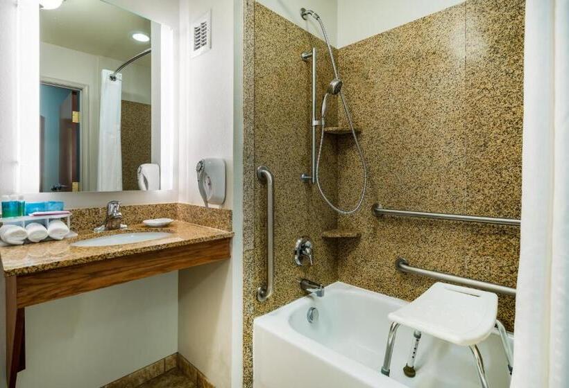 Номер Стандарт Кровать Кинг Адаптированный для Инвалидов, Holiday Inn Express & Suites Rocky Mount Smith Mountain Lake, An Ihg