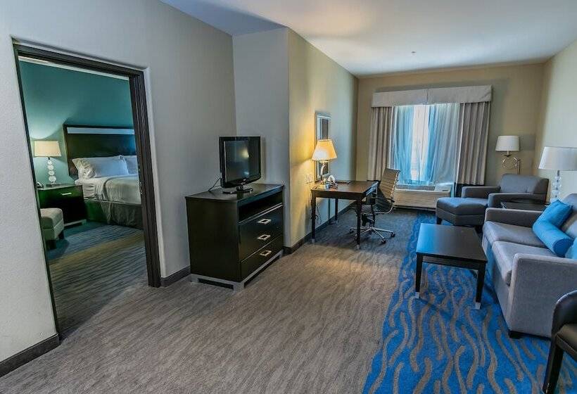 סוויטה, Holiday Inn Houston Webster By Ihg