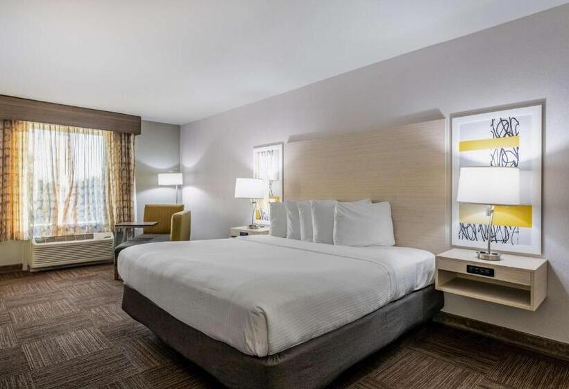 스탠다드 룸 킹사이즈 침대, Best Western Auburndale Inn & Suites