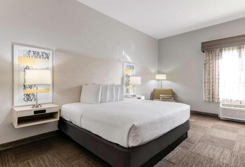 스탠다드 룸 킹사이즈 침대, Best Western Auburndale Inn & Suites