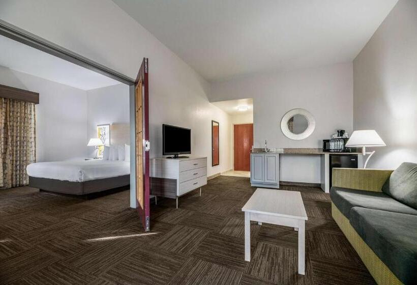 이그제큐티브 스위트 킹침대, Best Western Auburndale Inn & Suites