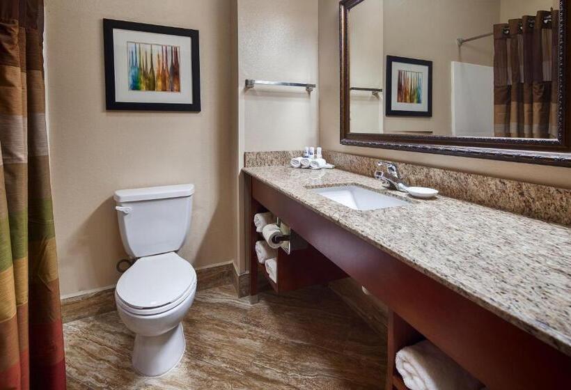 Номер Стандарт Адаптированный для Инвалидов, Best Western Plus Monahans Inn And Suites