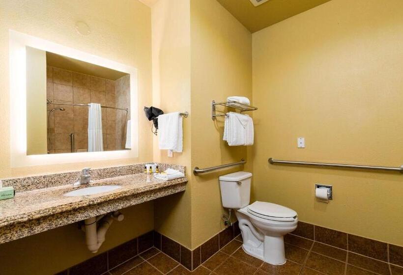 适合残疾人士使用的带超级大床的标准间, Best Western Plus Portland