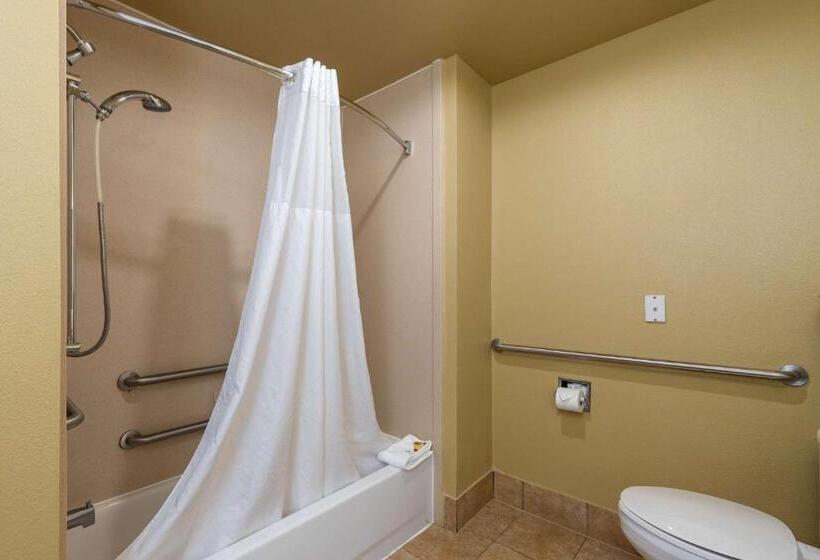 장애인을 위한 킹사이즈 침대 스탠다드 룸, Best Western Plus Portland