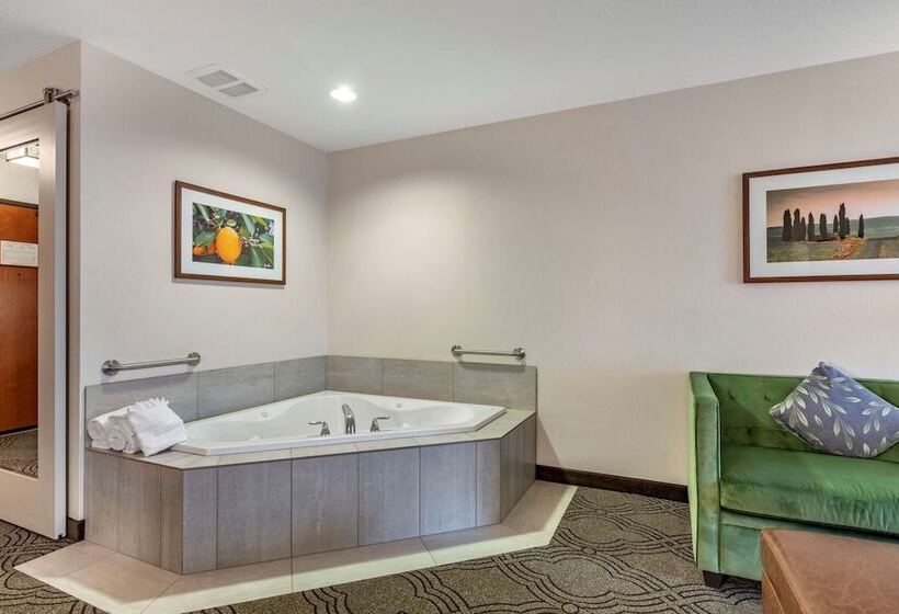سوئیت برای معلولان, Best Western Premier Pasco Inn And Suites