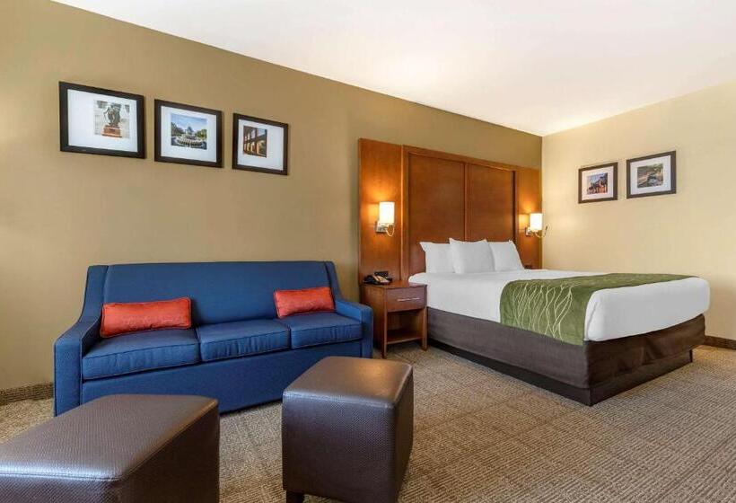 Стандартный Номер Кровать Кинг, Comfort Inn & Suites