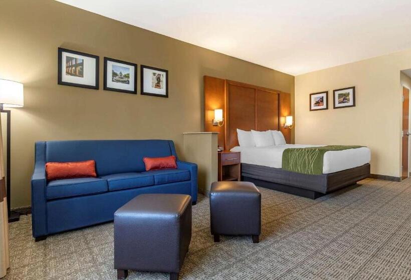 Люкс Адаптированный для Инвалидов, Comfort Inn & Suites