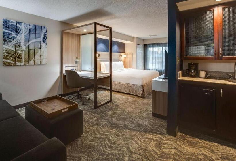 سوئیت با تخت بزرگ, Springhill Suites Dayton South/miamisburg