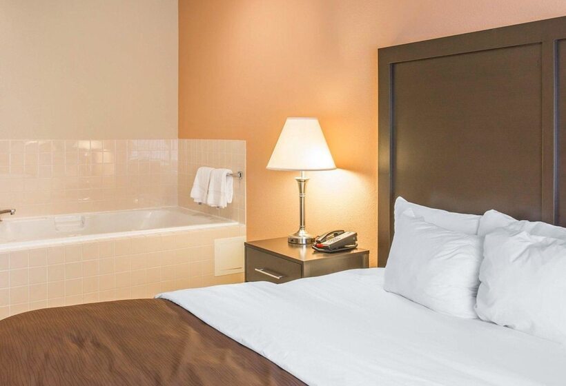 Люкс Кровать Кинг, Quality Inn & Suites Niles