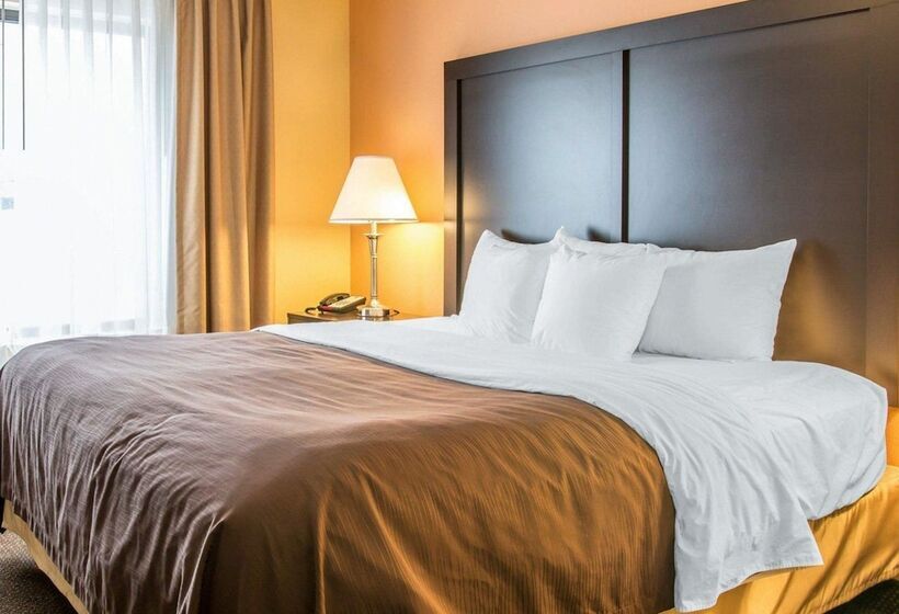 Люкс Кровать Кинг, Quality Inn & Suites Niles