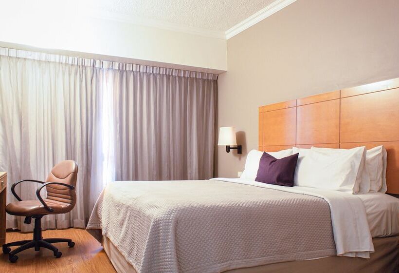 豪华房间, Istay Hotel Monterrey Histórico
