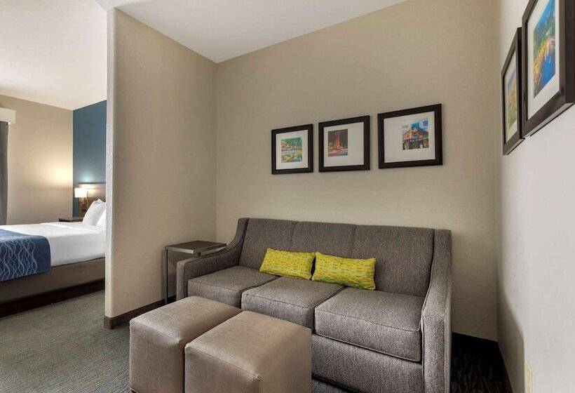 Люкс Адаптированный для Инвалидов, Comfort Inn & Suites Selma Near Randolph Afb