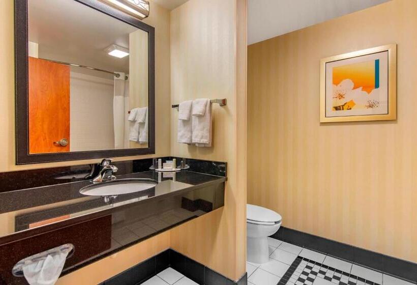 带大床的标准间, Fairfield Inn & Suites Hooksett