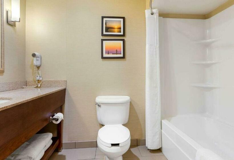 带大床的套房, Comfort Suites South Haven Near I96