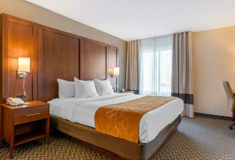 带大床的套房, Comfort Suites South Haven Near I96