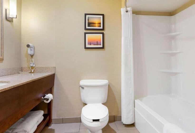 套房, Comfort Suites South Haven Near I96