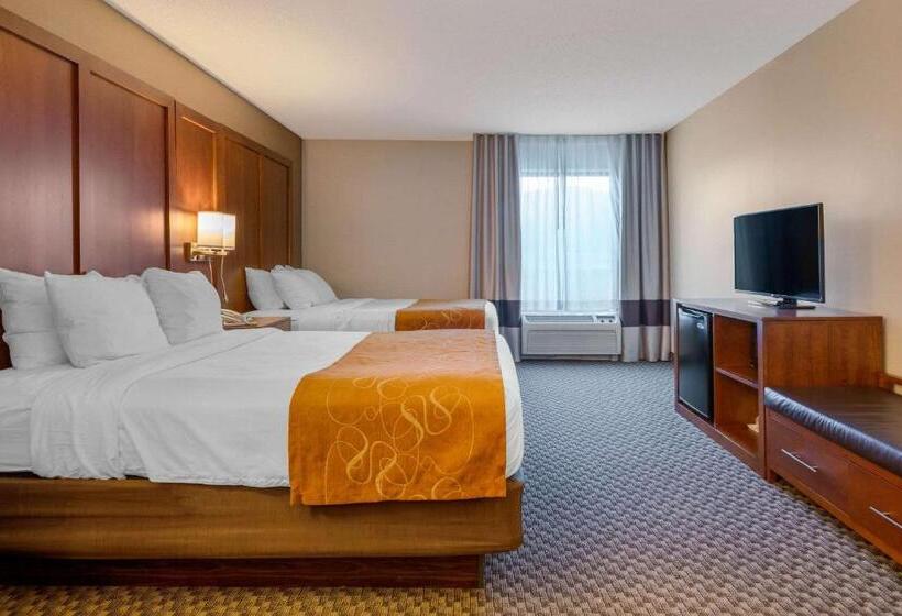 适合残疾人士使用的套间, Comfort Suites South Haven Near I96