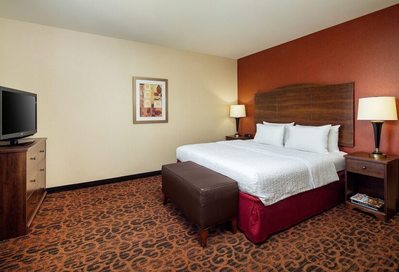 اتاق استاندارد, Hampton Inn & Suites Scottsdale At Talking Stick