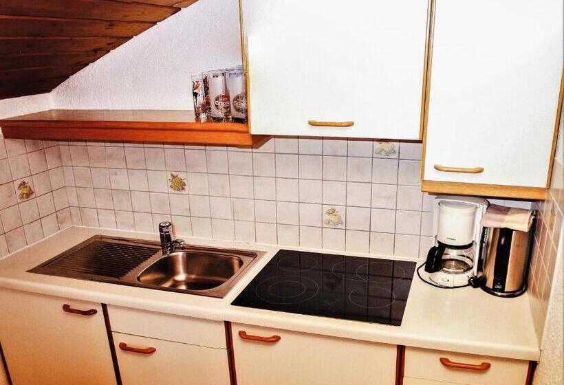 آپارتمان 1 خوابه, Almhof Kitzlodge   Alpine Lifestyle